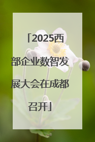 2025西部企业数智发展大会在成都召开